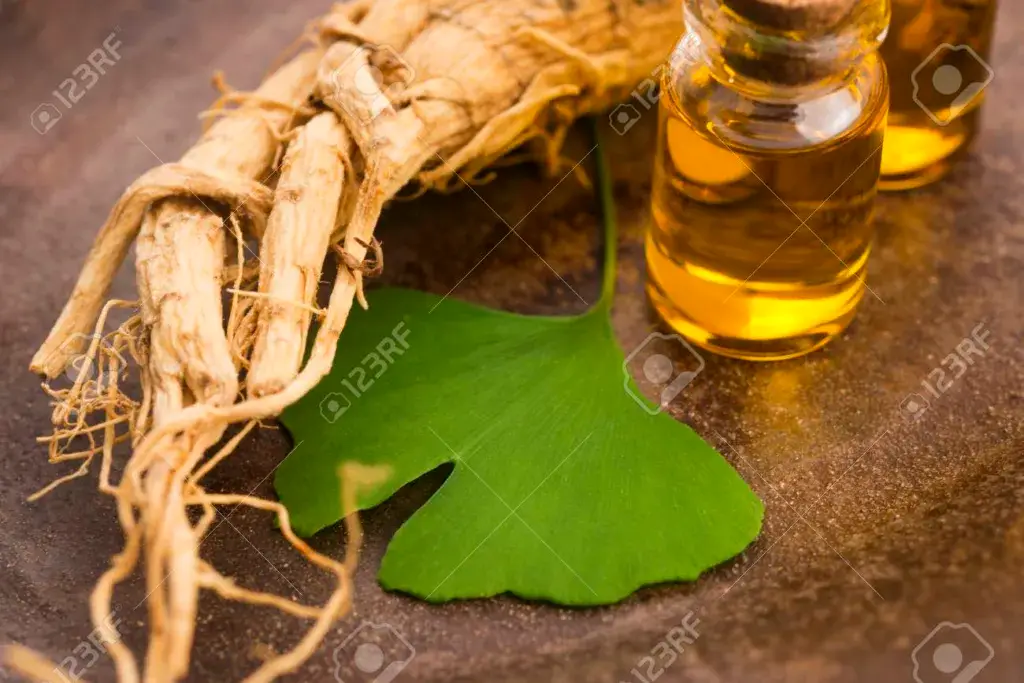 ginko i ženšen