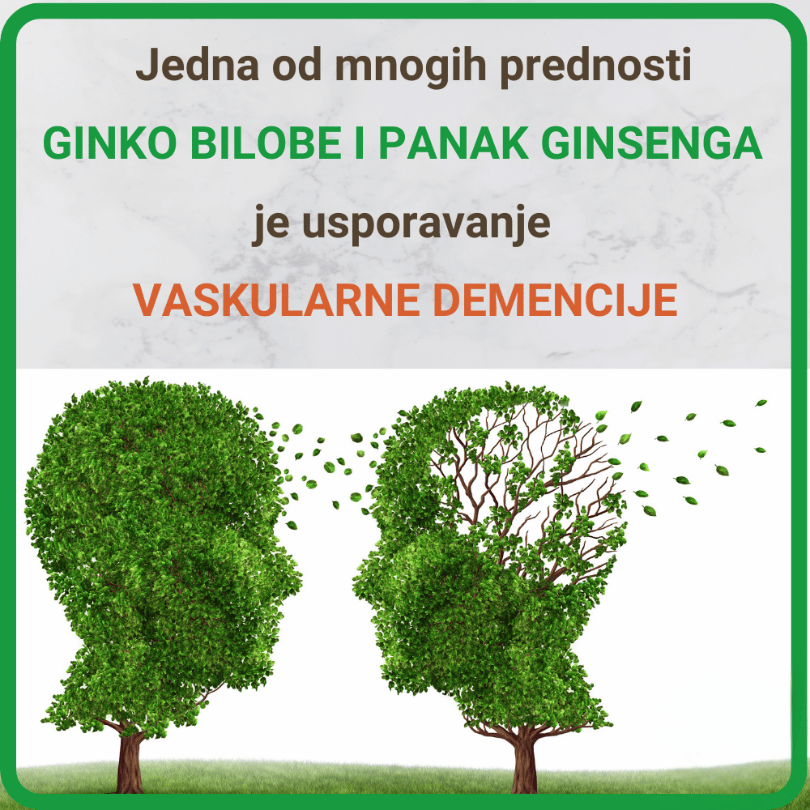 refine kapi - loša cirkulacija i vaskularna demencija